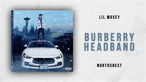 burberry headbandnorthsbest